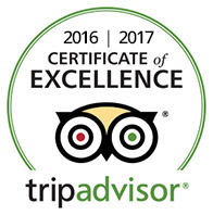 2016 Certificate of Excellence